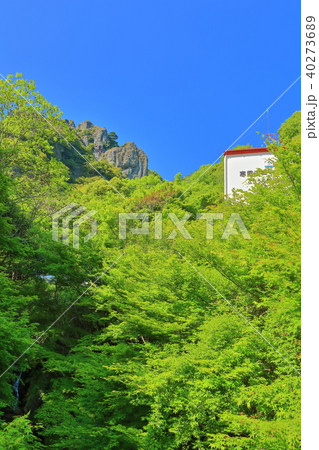新緑の寒霞渓ロープウェイ 新緑の寒霞渓ロープウェイ 40273689