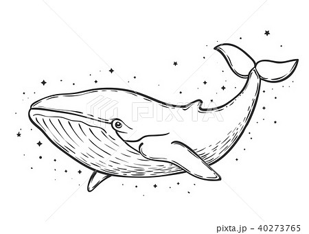 Blue Whale And Stars Art Work Vector Illustrationのイラスト素材