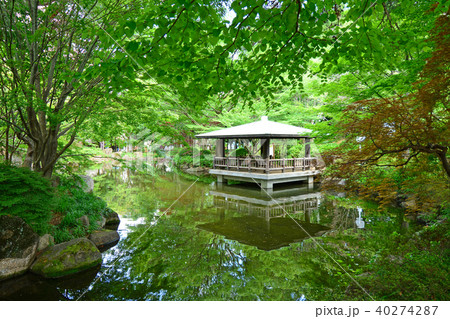 東京都杉並区井草　井草森公園 40274287