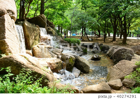 東京都杉並区井草 井草森公園 東京都杉並区井草 井草森公園 40274291