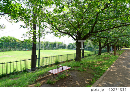 東京都杉並区井草　井草森公園　運動場 40274335