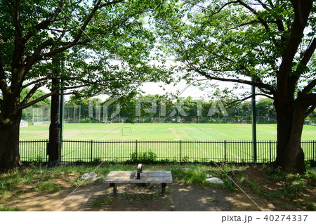 東京都杉並区井草　井草森公園　運動場 40274337