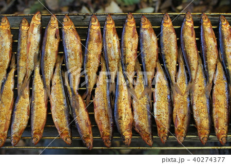Hot smoked whitefish on the grill Hot smoked whitefish on the grill 40274377