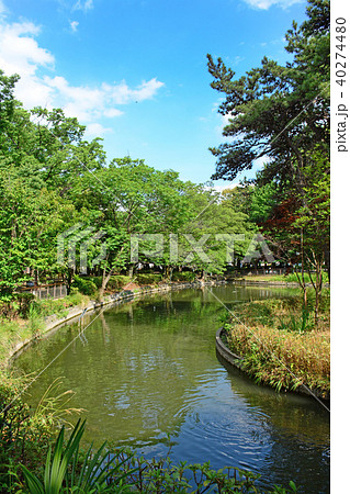 東京都杉並区清水　妙正寺公園 40274480