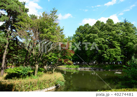 東京都杉並区清水　妙正寺公園 40274481