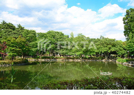 東京都杉並区清水　妙正寺公園 40274482