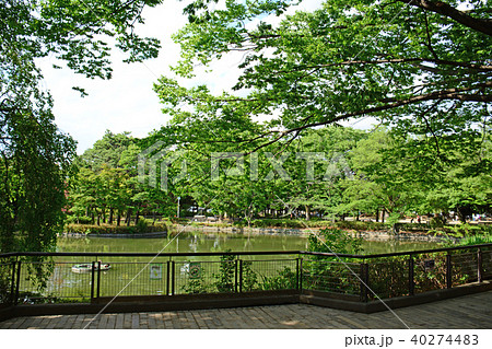 東京都杉並区清水　妙正寺公園 40274483
