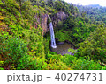 Bridal Veil Falls Waterfall in New Zealand 40274731