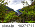 Franz Joseph Glacier - New Zealand 40274744