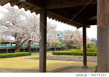 致道館  （ちどうかん） 40275223