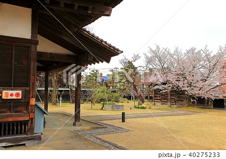致道館  （ちどうかん）　　中庭 40275233