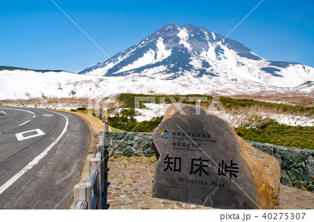 春の知床峠からみる羅臼岳 40275307