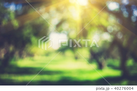 Green nature outdoor 40276004