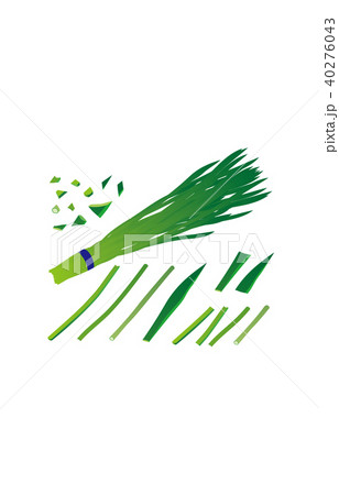カット野菜にら 40276043