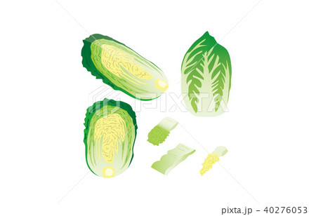 カット野菜はくさい 40276053
