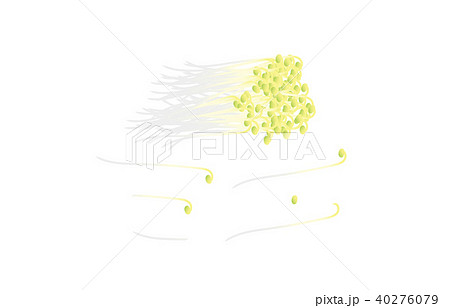 カット野菜もやし 40276079