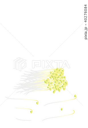 カット野菜もやし 40276084