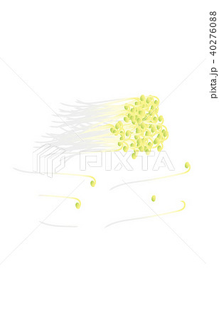 カット野菜もやし 40276088