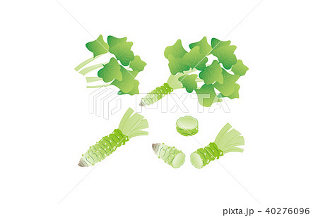 カット野菜わさび 40276096