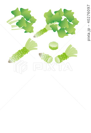 カット野菜わさび 40276097