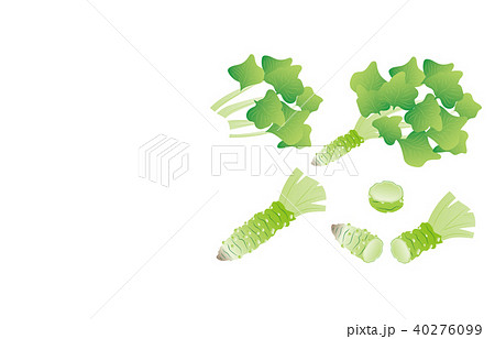 カット野菜わさび 40276099