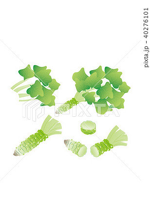 カット野菜わさび 40276101