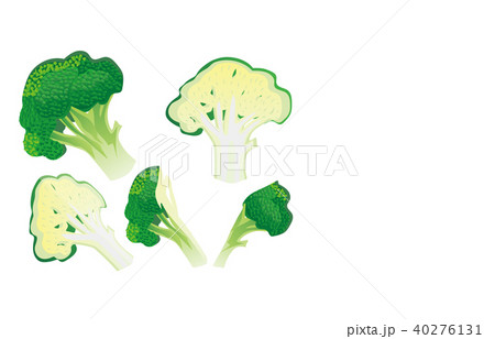 カット野菜ブロッコリーのイラスト素材 40276131 Pixta