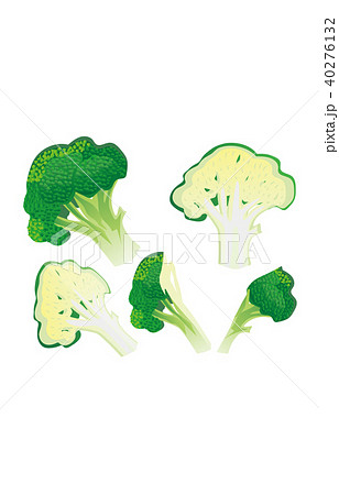カット野菜ブロッコリーのイラスト素材