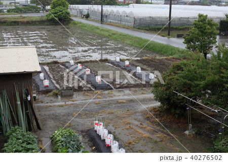 穀雨、春雨 40276502