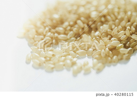 米 収穫 精米 農家 40280115