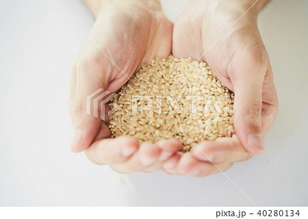 米 収穫 精米 農家 米 収穫 精米 農家 40280134