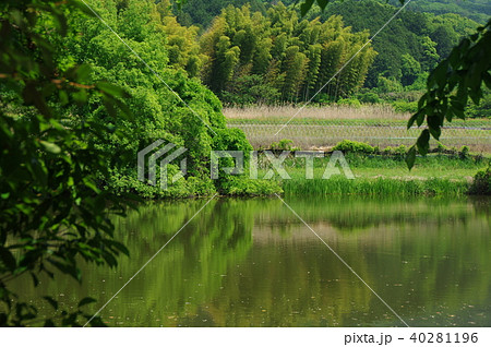 山の辺の道 山の辺の道 40281196