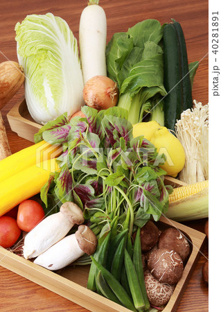 新鮮野菜 新鮮野菜 40281891