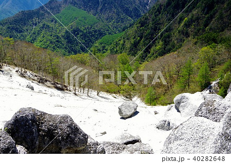 日向山山頂 白砂の風景 日向山山頂 白砂の風景 40282648