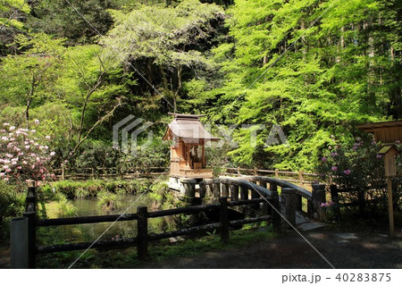 花園神社 北茨城 花園神社 北茨城 40283875