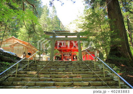 花園神社 北茨城の写真素材 4028