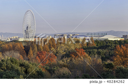 万博記念公園から臨むオオサカホイール、エキスポシティ、吹田スタジアムの秋の眺望 万博記念公園から臨むオオサカホイール、エキスポシティ、吹田スタジアムの秋の眺望 40284262