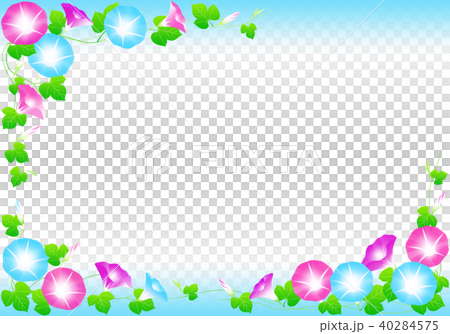 Morning glory sum image Morning glory sum image 40284575