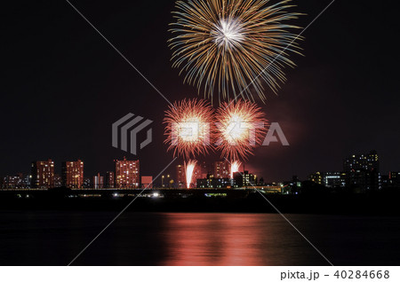 花火 40284668