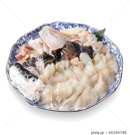 とらふぐ　tiger pufferfish　てっちり 40284786