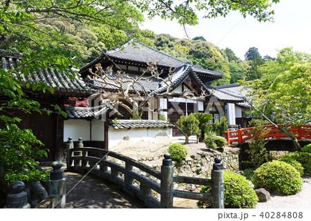 天野山 金剛寺 天野山 金剛寺 40284808
