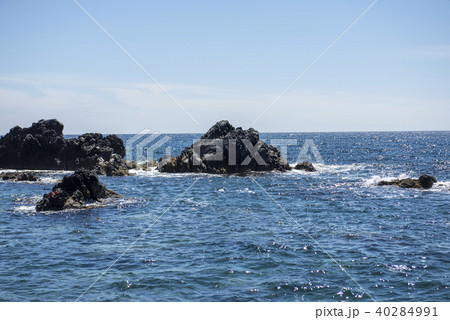 利尻礼文サロベツ国立公園・仙法志御崎公園 利尻礼文サロベツ国立公園・仙法志御崎公園 40284991
