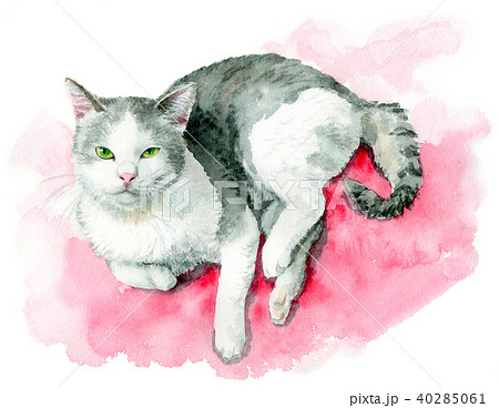 水彩で描いた白とグレーの猫のイラスト素材