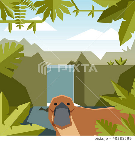 Flat geometric jungle background with Platypus 40285599