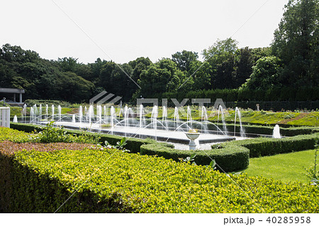 神代植物園噴水 40285958