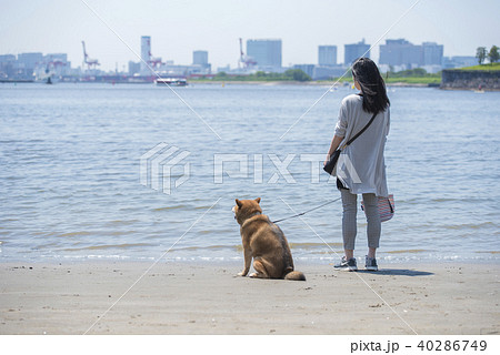 海を見る柴犬と飼い主の女性の写真素材