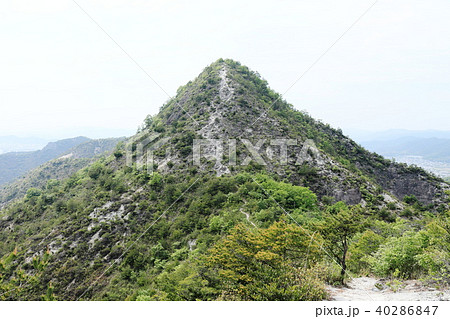 桶居山 40286847