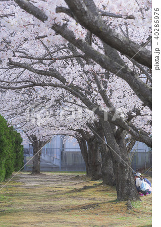 サッポロビール ビオトープ園 Biotop park in sapporo beer sendai  40286976