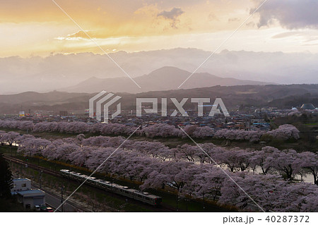 宮城 白石川堤一目千本桜 shiroishikawa senbonsakura 宮城 白石川堤一目千本桜 shiroishikawa senbonsakura 40287372