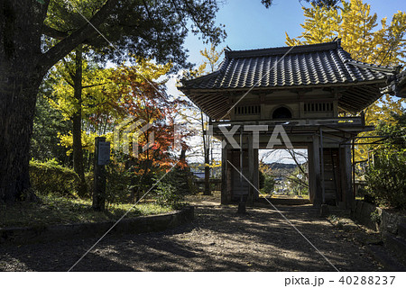 日輪寺 日輪寺 40288237